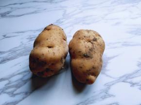 两个中大的土豆。