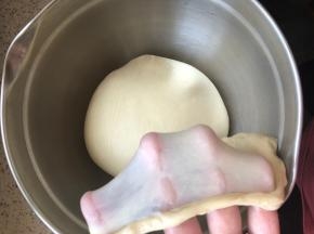 直至手套膜