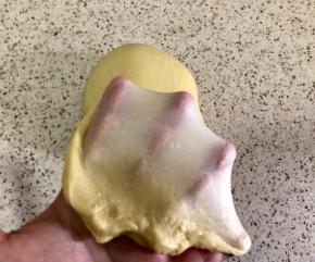 揉至出手套膜，盖保鲜膜，28度环境进行发酵       