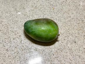 准备比较熟一点的芒果，蜂蜜可以不加