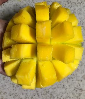 切开芒果取芒果肉130g