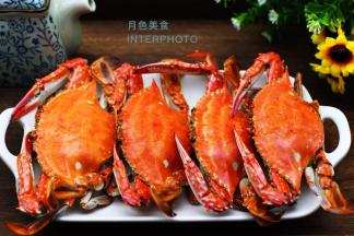 海边孩子的最爱