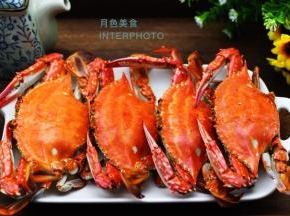 海边孩子的最爱