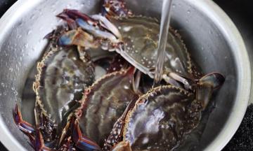 把收拾干净的梭子蟹放到大一点的盆子里，用自来水冲洗干净后；

