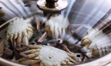 盖上锅盖大火烧开后，继续大火蒸制20分钟左右，我今天蒸的螃蟹是半斤多一个的，所以我蒸了25分钟，关火后焖个3.4分钟后就可以盛出享用咯；