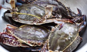 首先准备好食材，这是活的梭子蟹，一个半斤多，梭子蟹这么大小的吃着最美味