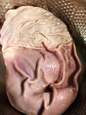 噔噔噔噔！猪肚已经干净无异味啰！