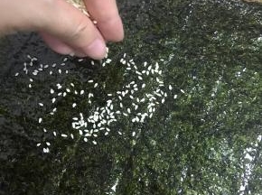 把芝麻均匀撒在刷满酱料的海苔片上。