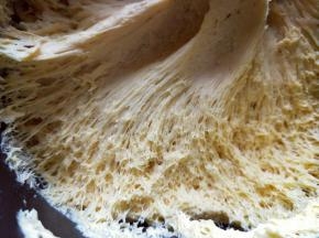 发酵好的面团，全部是蜂窝眼，取出排气。