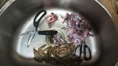 田鸡斩件、虾去须洗净沥干水