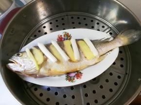 黄鱼下面，鱼肚，表面都放葱姜。蒸锅水开，放入黄鱼蒸八分钟焖三分钟