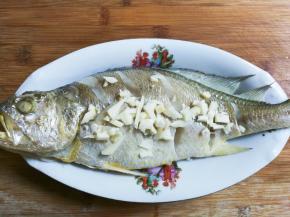 将黄鱼里面多余的水倒掉，夹去葱姜，放一半蒜粒