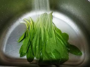 芥菜仔洗干净