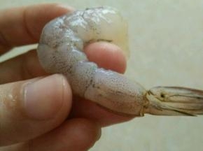 鲜虾切去虾头，剥掉虾壳，留后面一节不剥，再用牙签挑去虾肠和虾线。