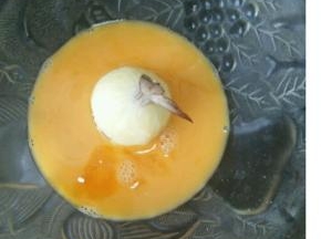 先把做好的虾球放到蛋液里，滚一圈。