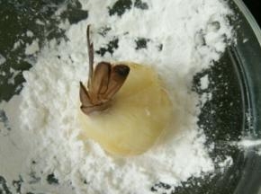 然后放到淀粉里，裹均匀。