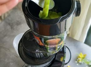 拿出原汁机，放入苦瓜，也可以加入适量纯净水。