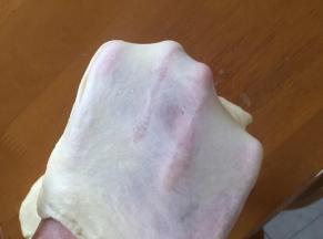 揉出手套膜即可，放回面包机中室温发酵