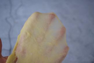 直到揉出扩展阶段
