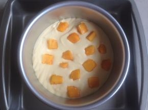 倒入一半的芒果慕斯液到模具里，加入芒果肉