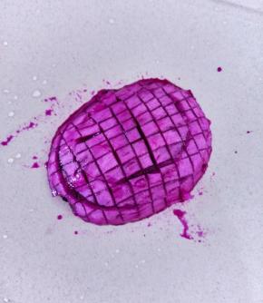 火龙果切成小块。