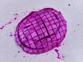 火龙果切成小块。