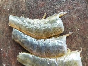 猪肉先切成薄片。虾切去头和尾巴。