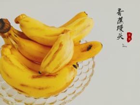 真真假假，假假真真