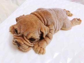 冷冻一夜再脱模