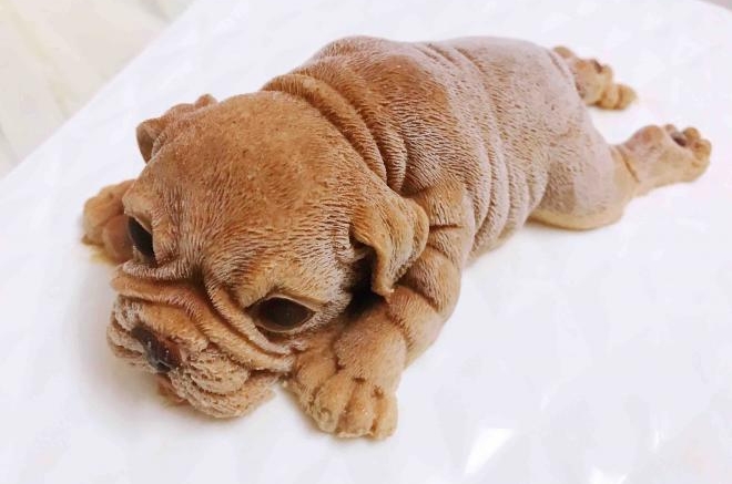 网红沙皮狗巧克力慕斯