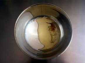 制作椰奶糊，将48克蛋白，100克椰浆，72克玉米油，1克盐同放入打蛋盆中，拌均匀。