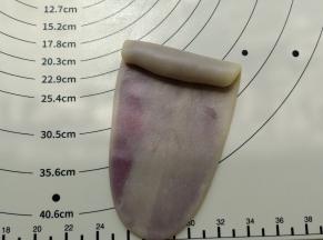 像这样卷起来。 都卷好盖保鲜膜松弛15分钟。