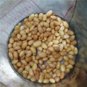 浸泡好的黄豆倒进豆浆机桶内