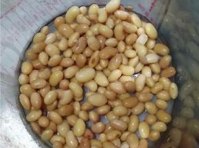 浸泡好的黄豆倒进豆浆机桶内