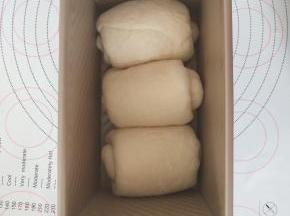 放入土司盒中发酵。