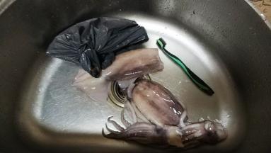 鱿鱼让商家处理好