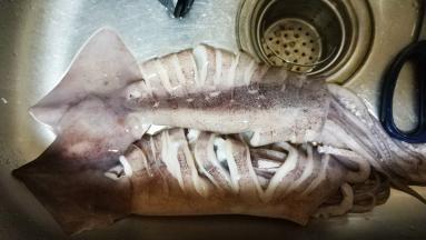 鱿鱼清洗干净，用剪刀剪段但不要剪断，如图