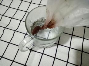 适量黑巧克力(我用的棕色的)放入裱花袋，隔热水融化，水不能太热哦