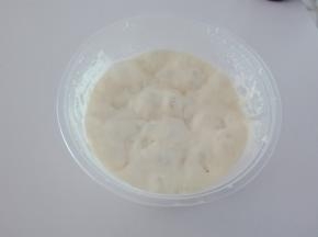 【波兰种酵头制作】A材料混合，冰箱冷藏发酵至高点（24小时左右），如图有大气泡。