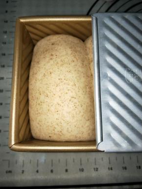 发酵至8.9分满，方砖加盖（山型），200℃预热烤箱