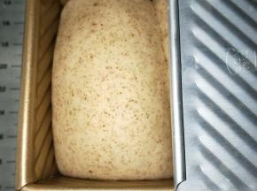 发酵至8.9分满，方砖加盖（山型），200℃预热烤箱