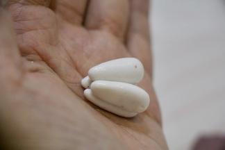 山竹瓤：取4个1克白面团，搓成圆后揉成椭圆。
四瓣瓤放在一起，都略沾油，这样蒸后瓤瓣瓣分明。