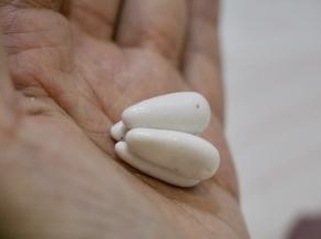 山竹瓤：取4个1克白面团，搓成圆后揉成椭圆。
四瓣瓤放在一起，都略沾油，这样蒸后瓤瓣瓣分明。