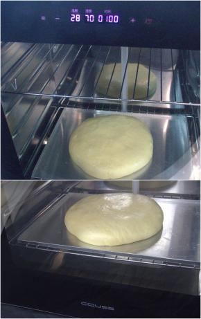 面团收圆放入烤盘中，COUSS CF-100A发酵箱，选择28度，湿度70%，时间60分钟，底部水盘加水加湿，面团放入进行基础发酵至约2倍大。