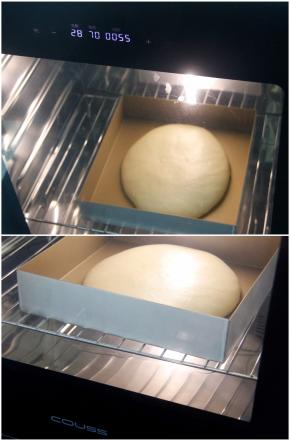 CF-100A发酵箱，设置温度28度，湿度70%，时间60分钟，底部水盘加水加湿，面团放入进行基础发酵至约2倍大小。