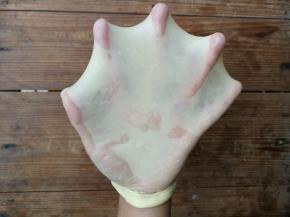 继续揉至面团能拉出有韧性的薄膜状态，即完全阶段