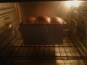 烤箱180度预热，预热后将二发完成的吐司放入烤箱下层烘烤，上下火170度35分钟左右，中途视上色情况加盖锡纸，以防上色过度（如果烤方形吐司需要加盖吐司盒，同时烘烤时间需要延长5分钟）