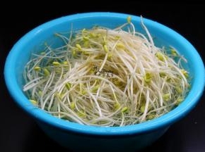 豆芽，洗净，去根本，用清水浸泡三分钟，浸泡可以去掉豆芽的豆壳，根本有点黑色，口感不好，去掉会更加好吃。