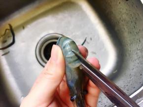 首先将罗氏虾洗净后剪去虾须，从头至尾剪开，把胃剔除。