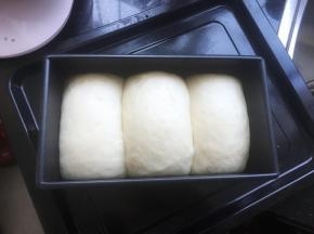 发酵至7分满后盖上盖子。